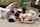chubby orgy tattoo