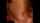 What's the name of this porn star?