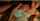 What's the name of this porn star?