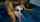 What's the name of this porn star?