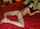 What's the name of this porn star?