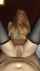 What's the name of this porn star?