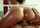 passionhd
