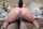 teamskeet
