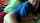 What's the name of this porn star?