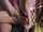What's the name of this porn star?