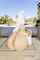 pool oiled