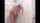 What's the name of this porn star?
