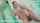 What's the name of this porn star?