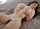 What's the name of this porn star?