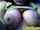 What's the name of this porn star?