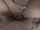 What's the name of this porn star?