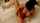 What's the name of this porn star?