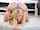 digital playground