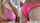 teamskeet