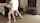 What's the name of this porn star?