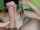 What's the name of this porn star?