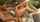 tiny