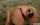 What's the name of this porn star?