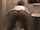 milf butt mom