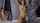 slave bdsm bondage