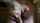 What's the name of this porn star?
