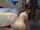 What's the name of this porn star?