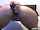 secretaryxxx brunette striptease