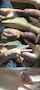 What's the name of this porn star?