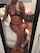 Name That Porn Star ?