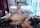 What's the name of this porn star?