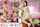 Sugiura Anna