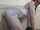 cam camgirl