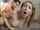 Name of girl and video?