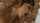 What's the name of this porn star?