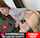 teamskeet dadcrush