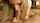 What's the name of this porn star?