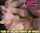 teen amateur