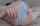 What's the name of this porn star?
