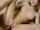teenager masturbate perfect pussy