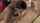 What's the name of this porn star?