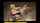 bdsm bondage lesbian