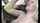 facial