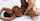 What's the name of this porn star?