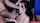 What's the name of this porn star?