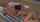 What's the name of this porn star?