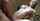 What's the name of this porn star?