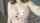 What's the name of this porn star?