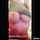 What's the name of this porn star?