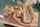 What's the name of this porn star?